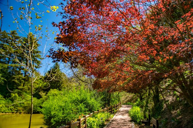 翻攝自臉書／福壽山農場