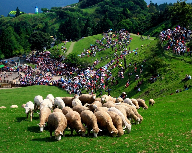 翻攝自清境農場官網