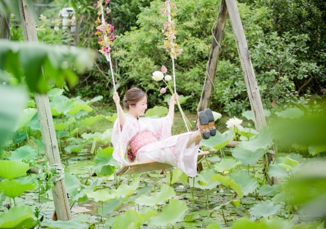 image source:FB/2019桃園蓮花季