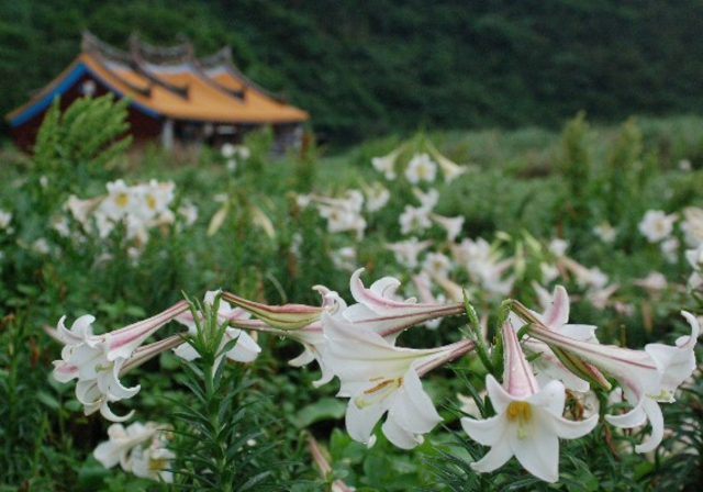 image source:FB/東北角之友