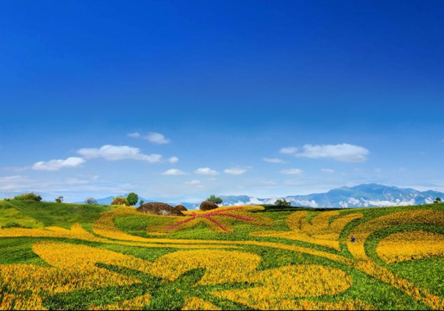 image source:農業易遊網