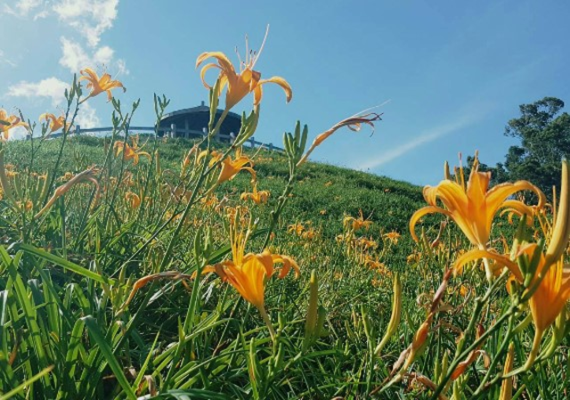 image source:FB/台東就醬玩