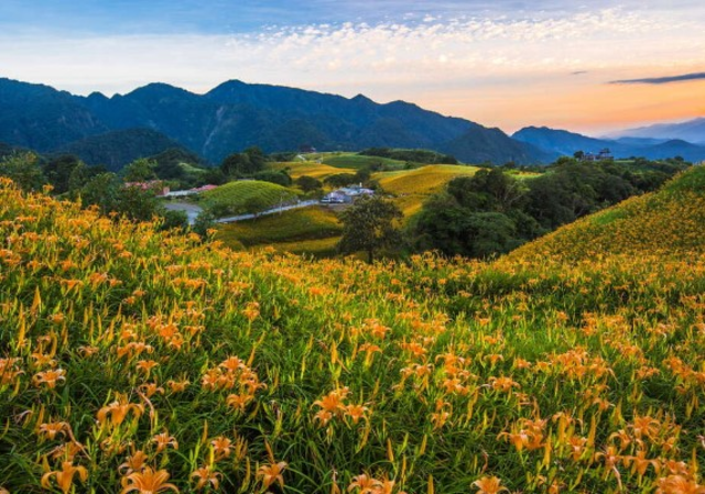 image source:花東縱谷國家風景區