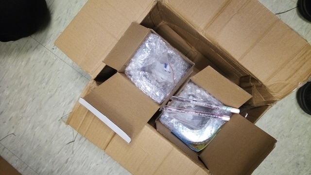 快遞包裹內有兩支塑膠吸管，裡頭竟藏了活體螞蟻。(關務署提供)