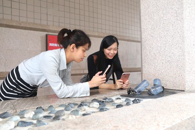 以塑膠瓶罐當殼的寄居蟹。(北捷提供)