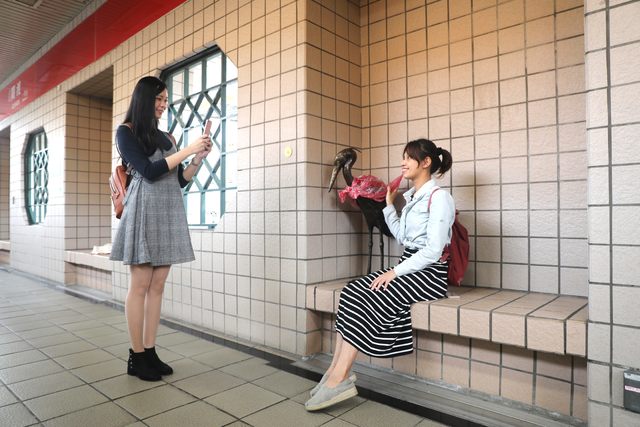 民眾可以與站內的裝置藝術拍照打卡作紀念。(北捷提供)