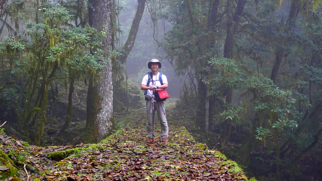 麥覺明。(牽猴子整合行銷提供)