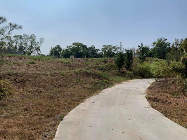 台中花博策展人之一吳書原痛批中市府浪費公帑。(翻攝自吳書原臉書)