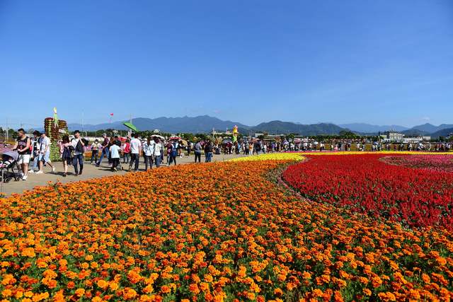 新社花海（翻攝臉書2019新社花海，下同）
