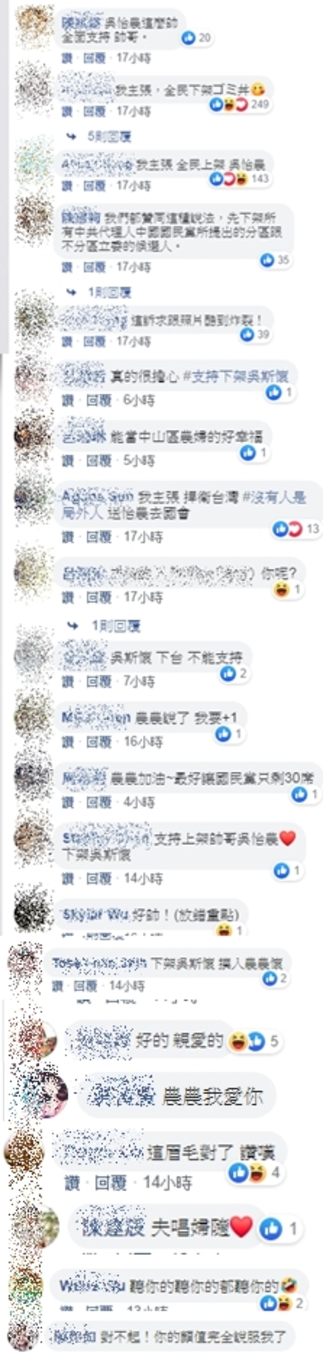 （翻攝臉書壯闊台灣 吳怡農）