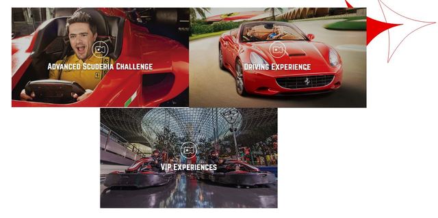 提供不同設施讓遊客體驗快感/圖截取自官網