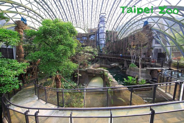 穿山甲館內的水域造景，水溫得保持在攝氏28度上下