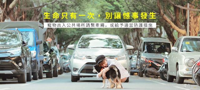 （北市動保處提供）