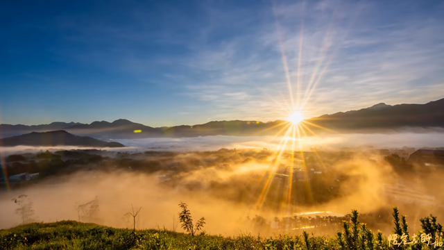 魚池鄉(莊家和提供)