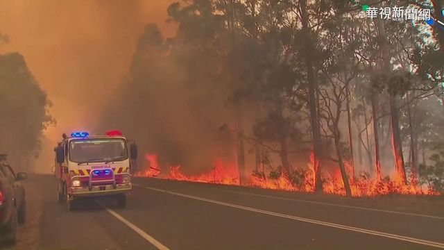 澳洲野火已延燒逾4個月。(資料照片)