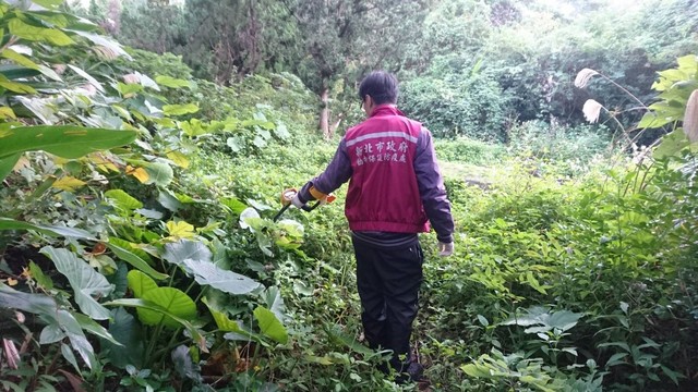 動保員於山區搜索陷阱。(新北市動保處提供)