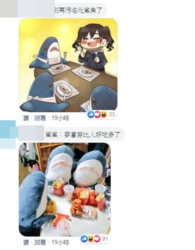 (翻攝海巡署臉書)