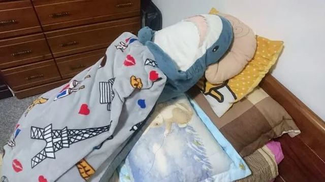 網友貼出鯊魚睡覺照，萌翻了。(翻攝DCARD)