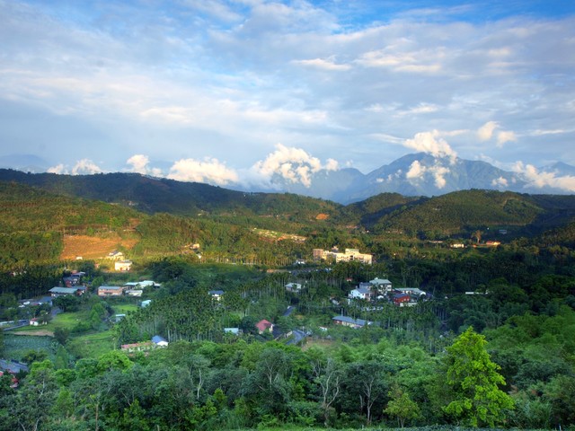 鄰近金龍山的澀水社區有各式紅茶體驗及生態探索遊程。(水保局南投分局提供)