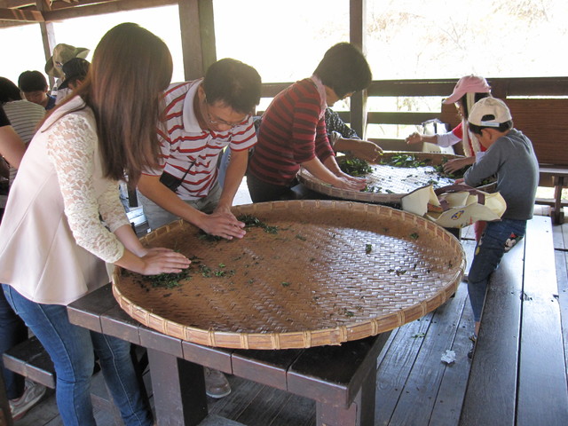 魚池澀水推出結合紅茶、自然生態與創意紅茶餐等各式體驗遊程。(水保局南投分局提供)