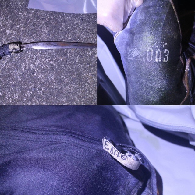 大體特徵。(海巡提供)