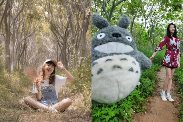 龍貓隧道（Instagram網友授權：@_chuuun_1011、@k_w_0809、@47.chi.47）