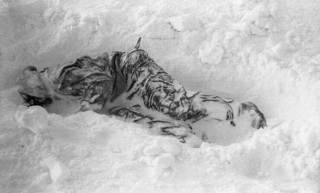 (翻攝dyatlovpass.com網站)