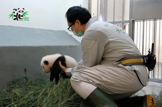 （台北市立動物園提供）