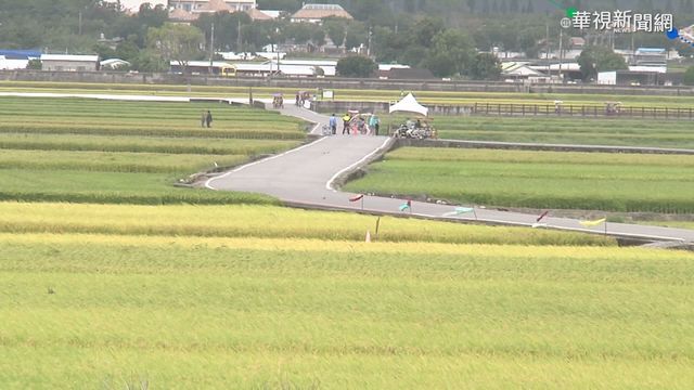 池上秋收藝術節明登場 總統搶先歡慶
