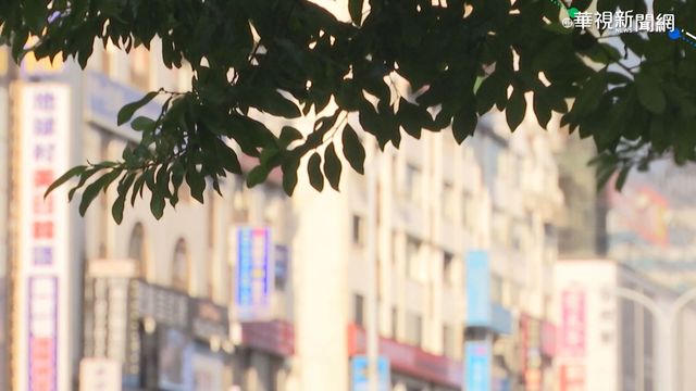 18縣市陸上強風特報 颱風「莫拉菲」最快今形成