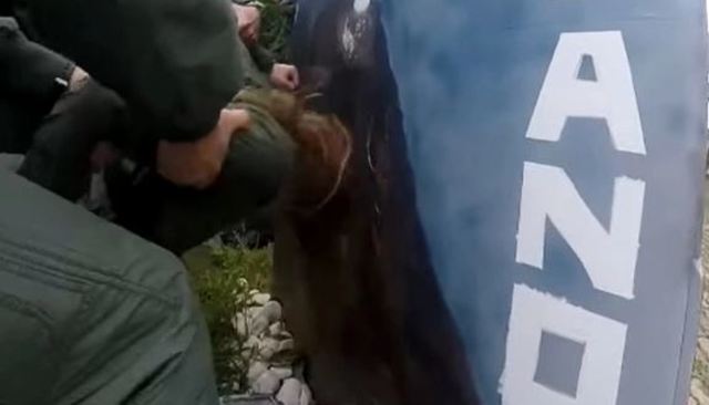 （翻攝自 Newsflash）