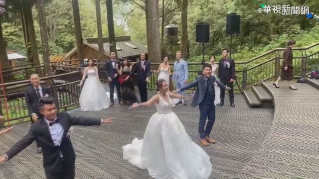 阿里山神木下結婚 新人許愛的誓約