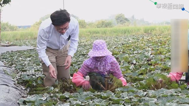 網紅時代崛起 立委出奇招拚聲量