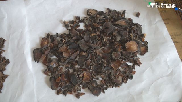 吃「草烏」治背痛 婦頭暈盜汗送急診