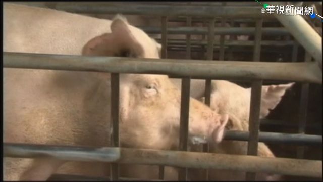 中央發函修改萊劑零檢出 侯友宜、盧秀燕回應