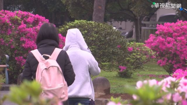 東北風增強！北、東防局部短暫雨 低溫下探19度