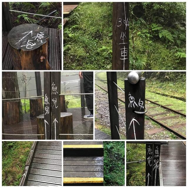 太平山遭塗鴉破壞！ 遊客無視警告牌畫近10處