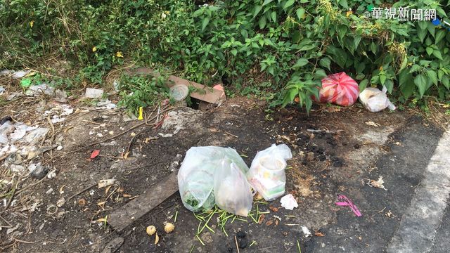 貨車亂倒廚餘引老鼠 害工廠損失百萬