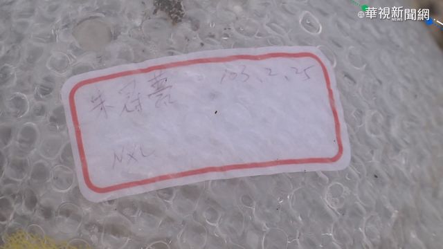 寫著朱冠甍名字! 加路蘭海邊見頭盔內襯