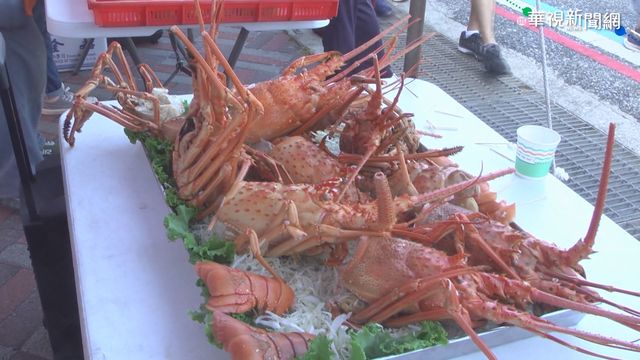 澎湖跨海馬拉松 龍蝦.花枝丸吃到飽