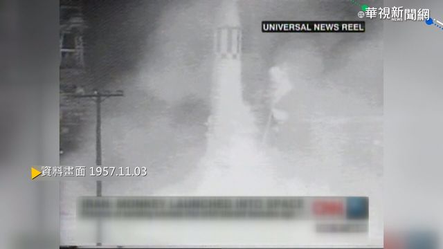 【歷史上的今天】蘇聯發射「太空狗」 不幸一去不返