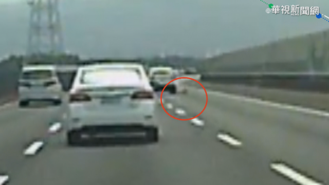 殘忍! 休旅車國道丟貓 路肩翻滾恐死