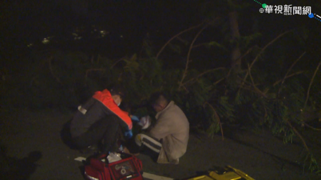 澎湖強風吹斷樹 騎士未留意交管追撞