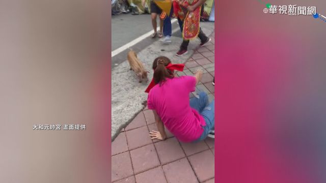 屏東內埔大和庄四孤搶粄 10分鐘掃光