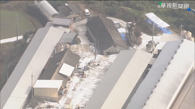 日本香川縣爆禽流感 已撲殺36萬雞隻