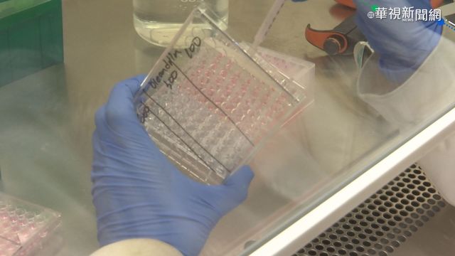 輝瑞疫苗捷報 莊人祥:明年首季有望買到