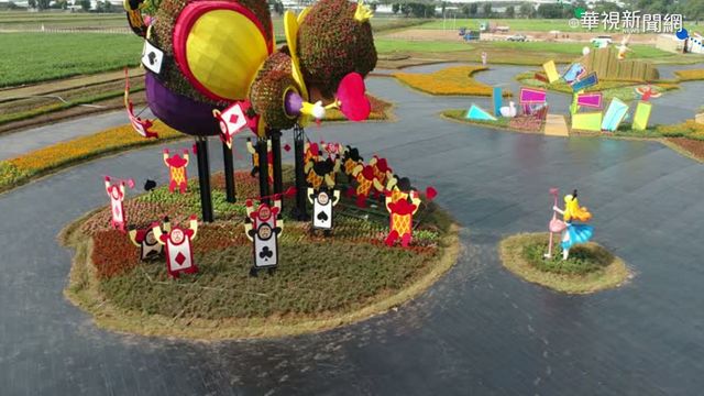 國際花毯節週末登場 「愛麗絲」吸睛