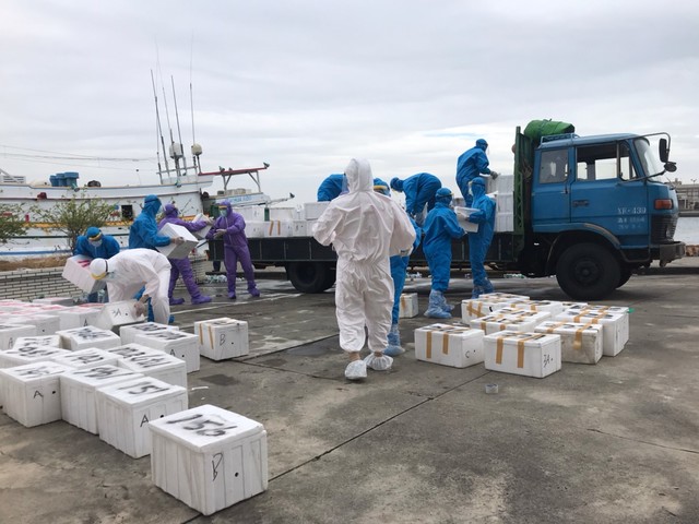 澎湖漁船走私1344公斤大閘蟹 5船員需自主健康管理