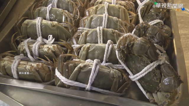 海巡破走私漁船 起出市價8百萬大閘蟹