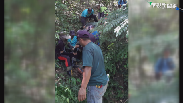 測量員山區昏迷不治 竟是遭青竹絲咬